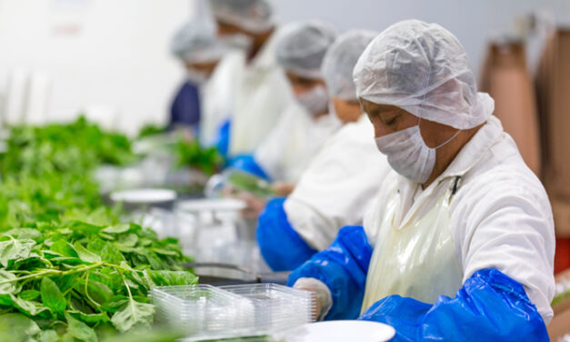 La importancia del HACCP en la Gestión de la  Inocuidad de Alimentos